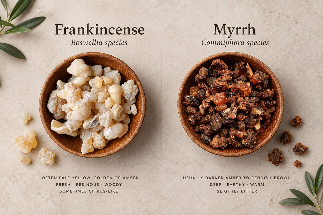 Frankincense vs. Myrrh: What’s the Difference?