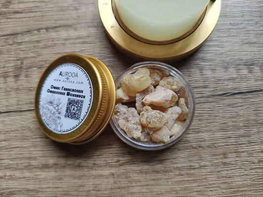 Different types of frankincense resin including Omani, Somali, Ethiopian and Indian varieties