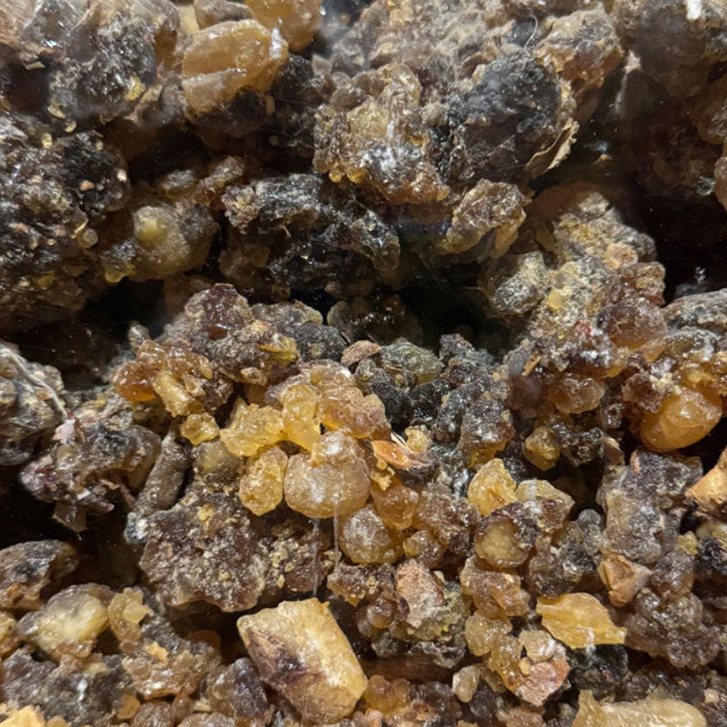Omani Traditional Sha'bi Frankincense Resin