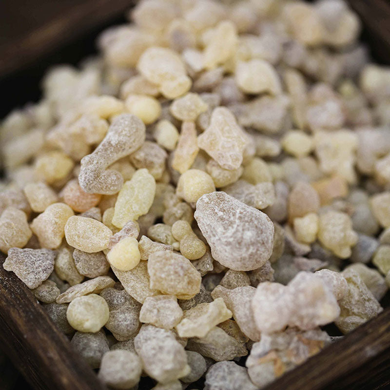 Omani Najdi Frankincense Resin